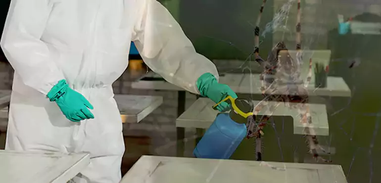 Why Buyers Still Want Homes With Pest Infestations in Springfield, MA?